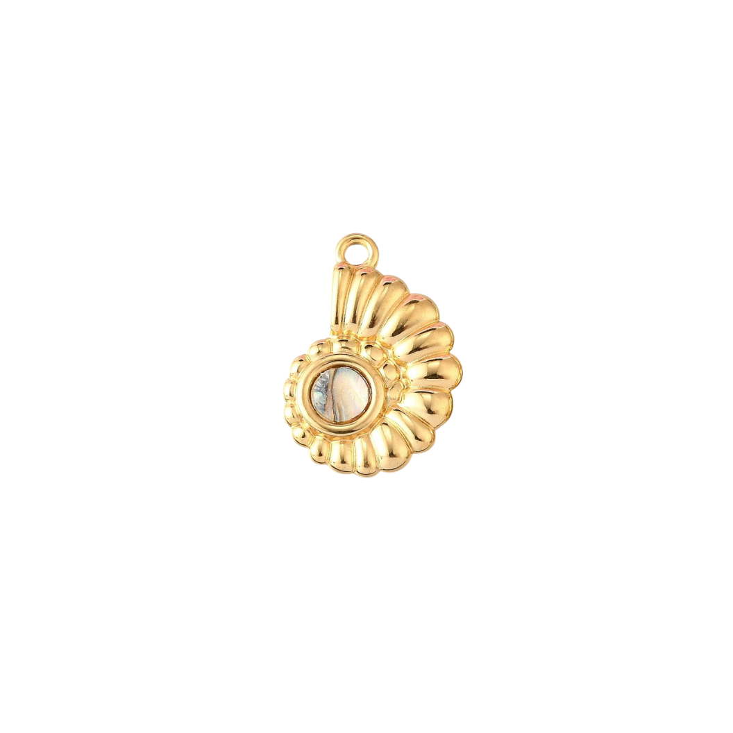 Transparent view of the Gold Conch Shell Charm