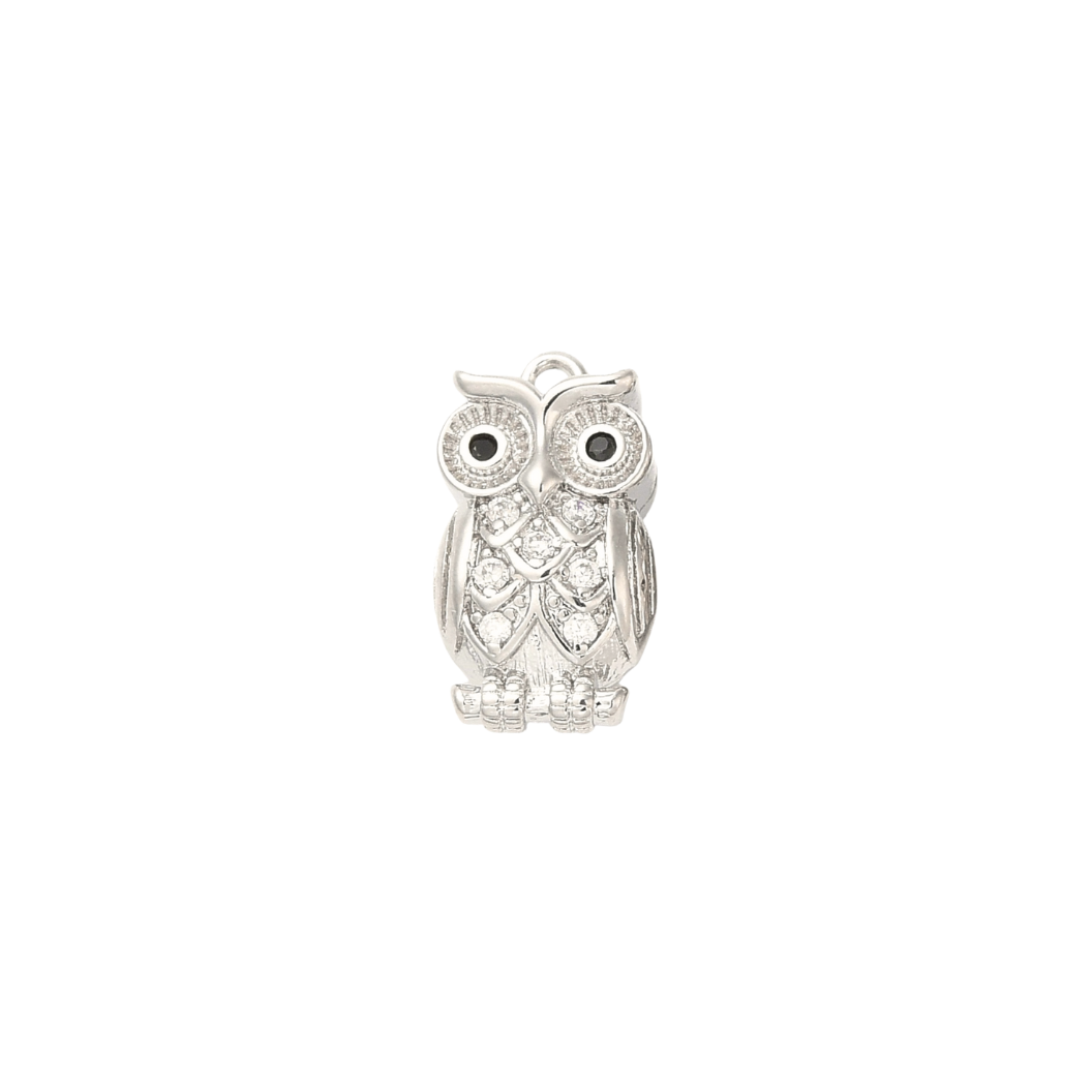 Silver Owl Always Love You Charm