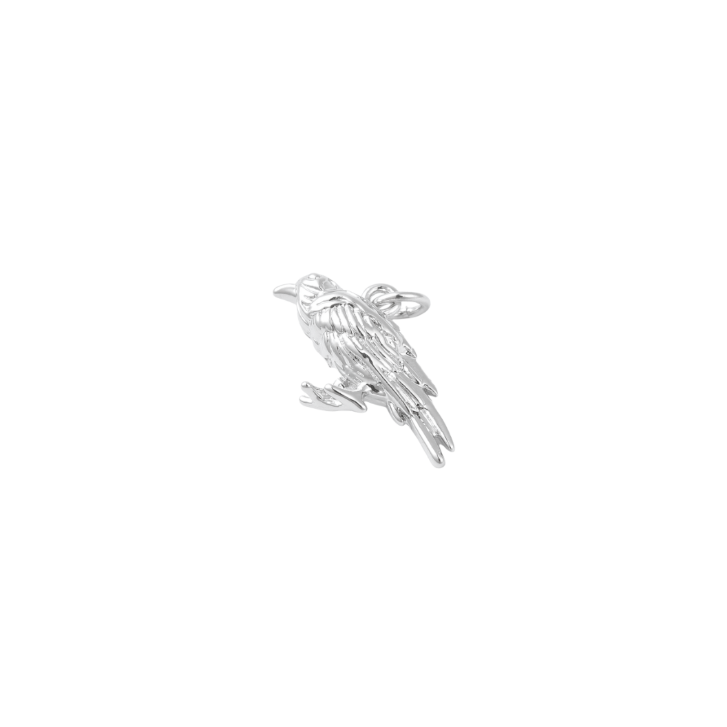 Transparent view of the Silver Raven Charm