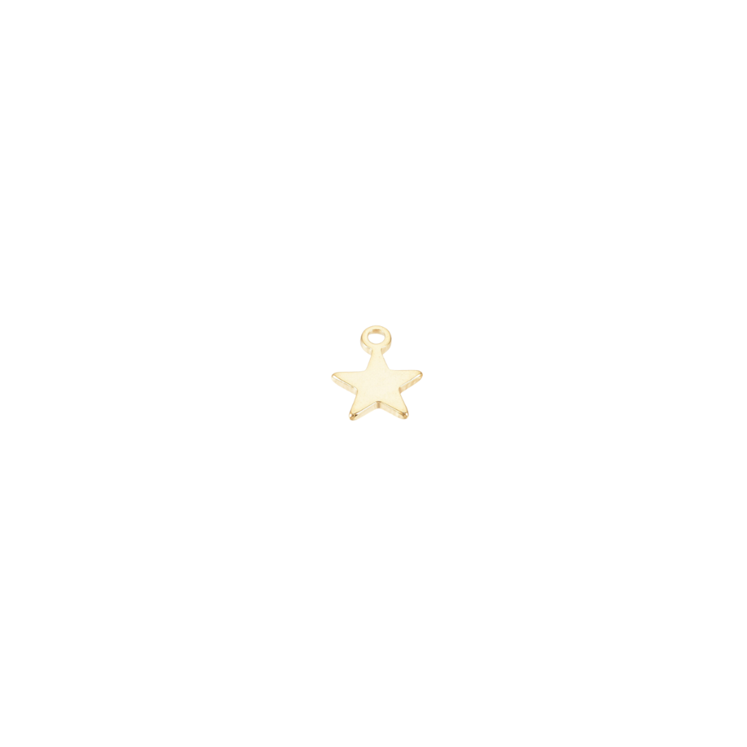 Gold Tiny Star Charm
