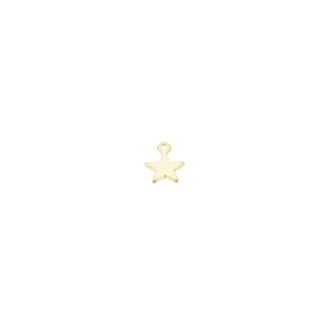 Gold Tiny Star Charm