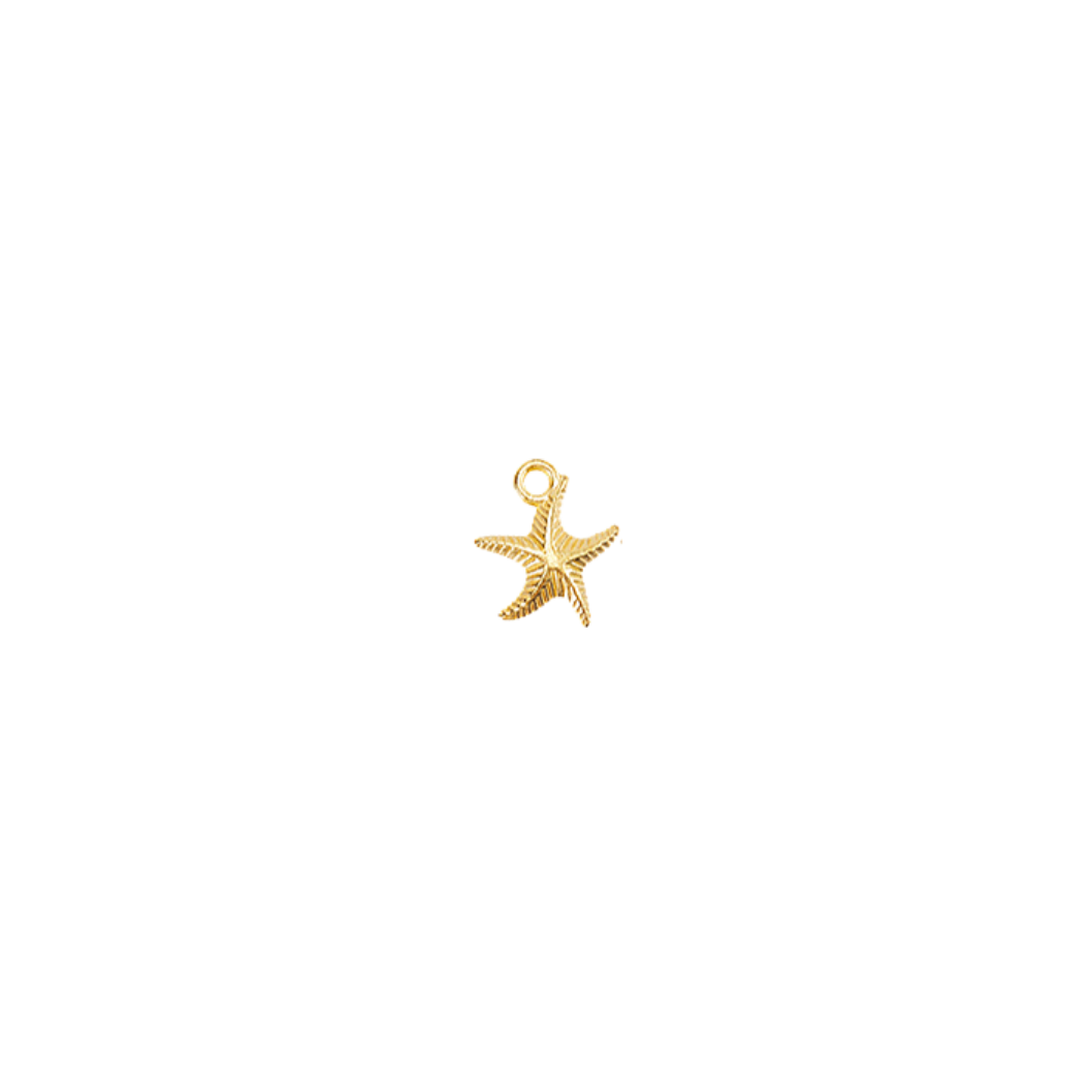 Transparent view of the Gold Beach Shells Charm | Assorted