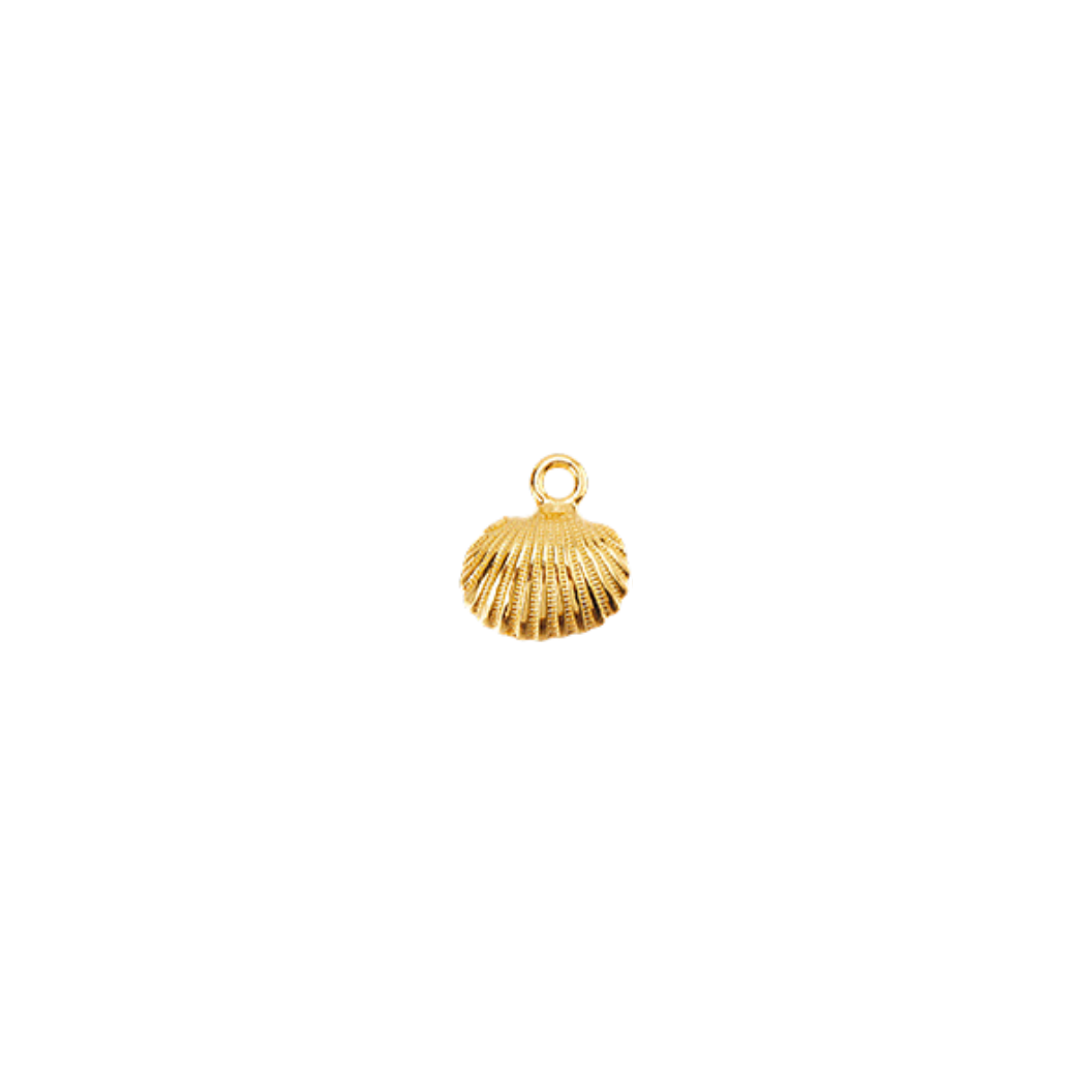 Transparent view of the Gold Beach Shells Charm | Assorted