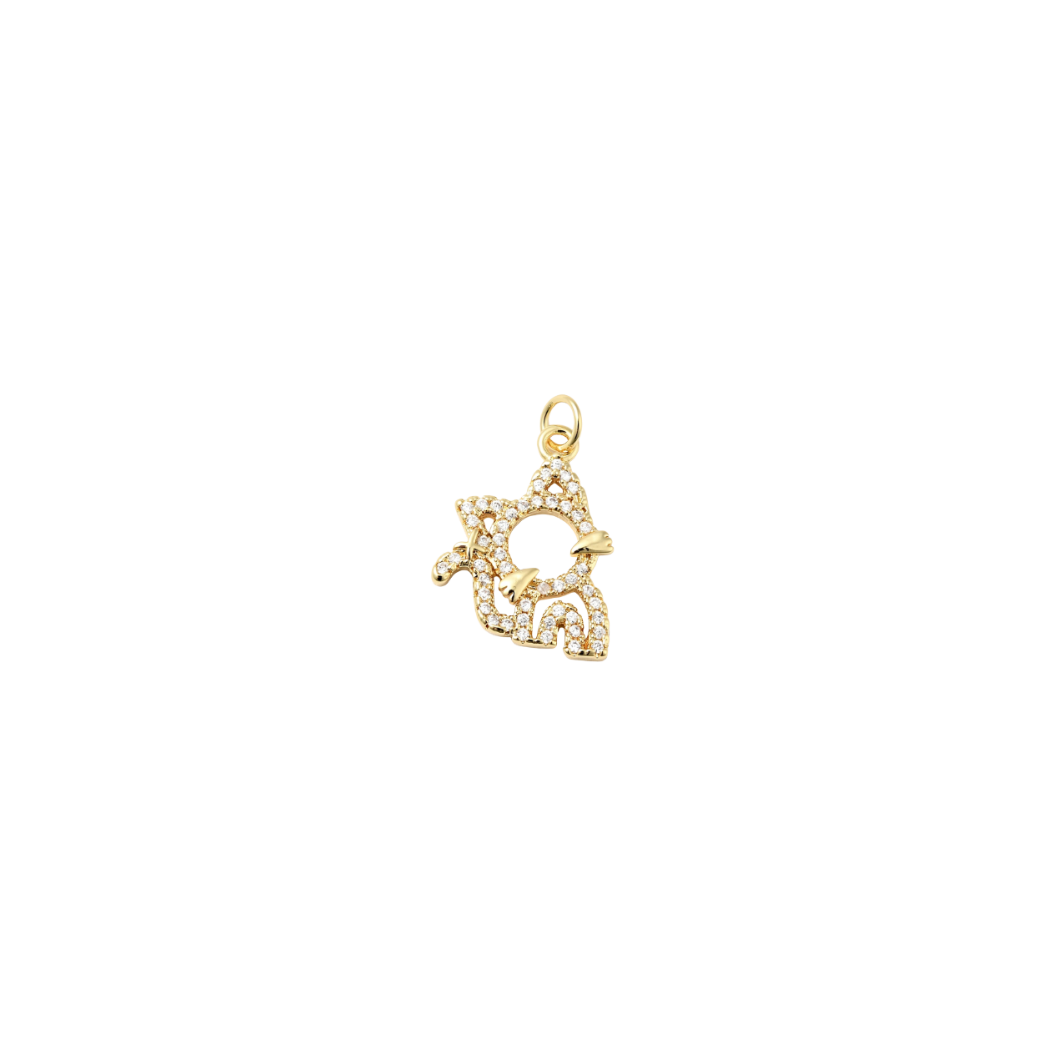 Gold Dazzle Meow Charm