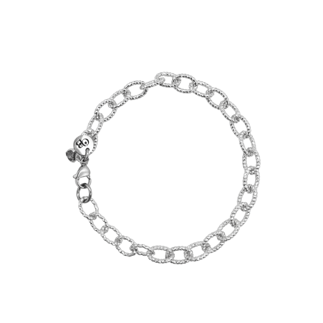 Overview of the Silver Alexis Charm Bracelet