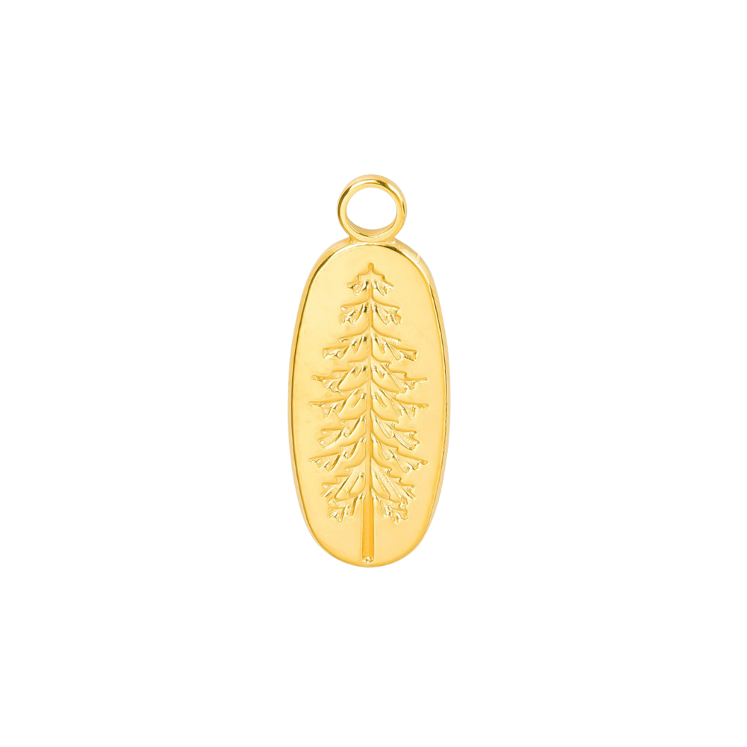 Transparent front view of the Gold Wilkes Everpine Charm