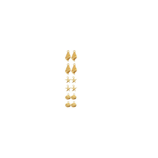 Gold Beach Shells Charm | Assorted