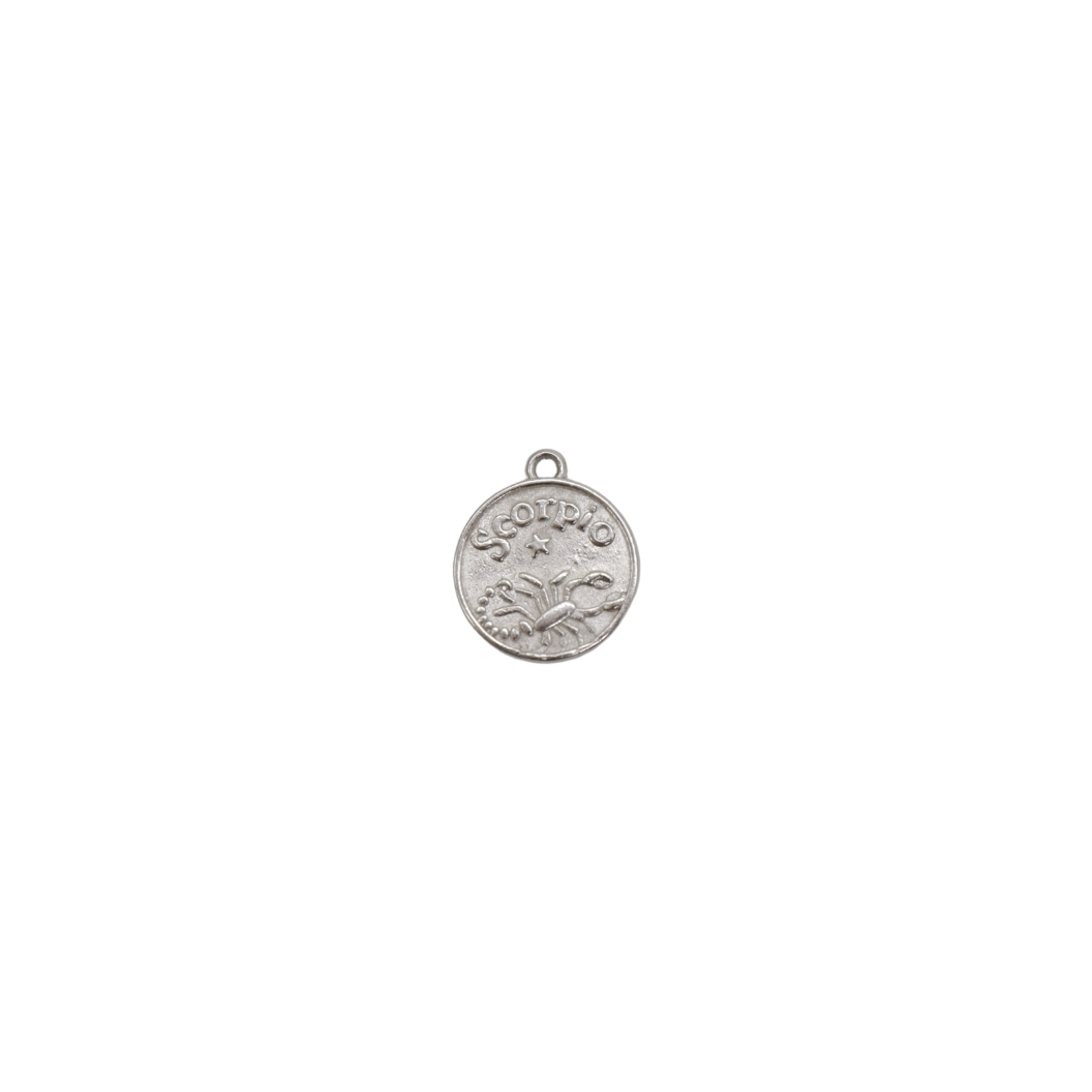 Silver Zodiac Charm
