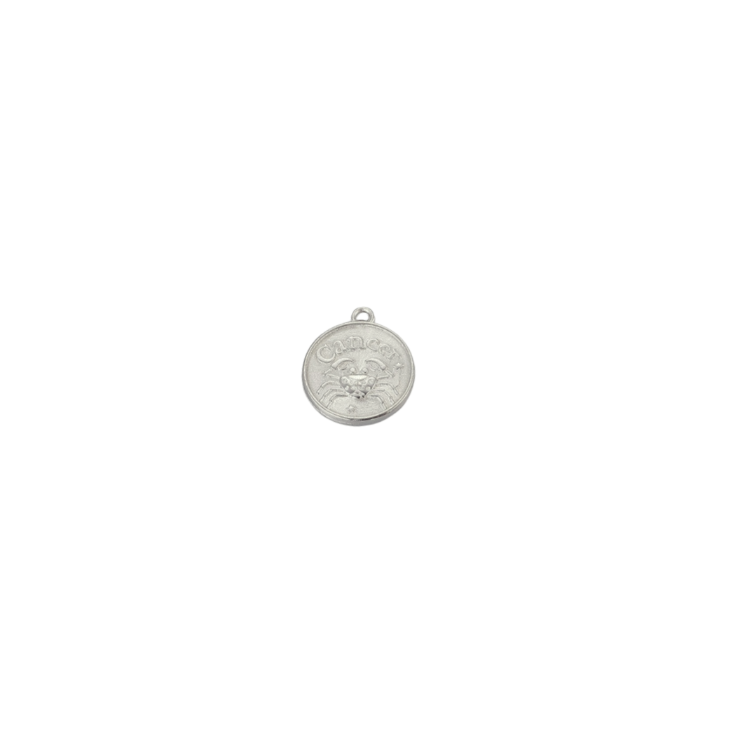 Silver Zodiac Charm