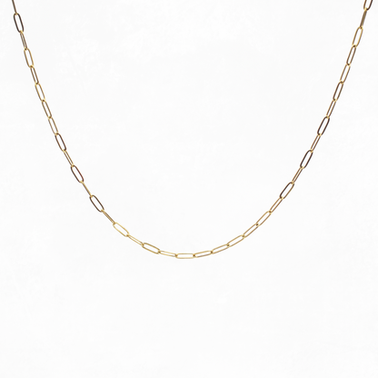 Gold Storyline Necklace  on white background 