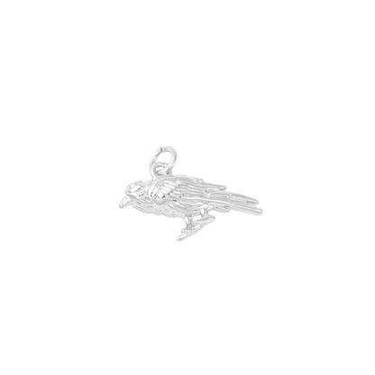 Side view of the Silver Raven Charm