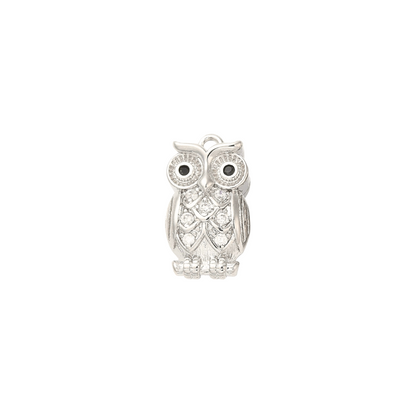 Silver Owl Always Love You Charm