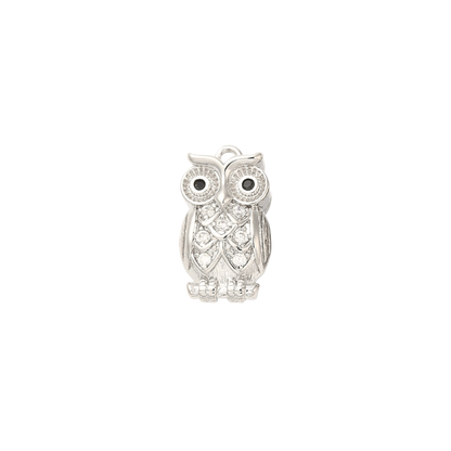Silver Owl Always Love You Charm