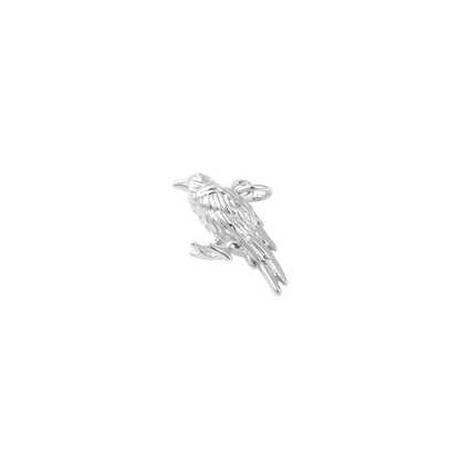 Transparent view of the Silver Raven Charm