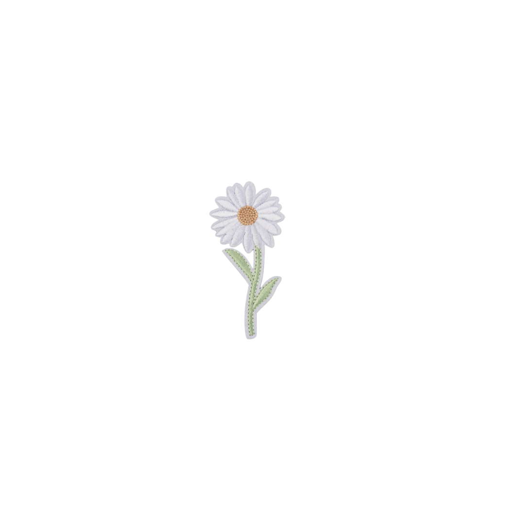 White daisy flower with a green stem on a white background