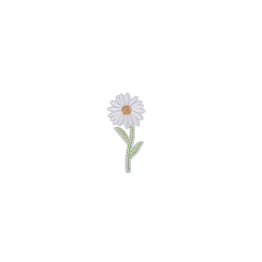 White daisy flower with a green stem on a white background