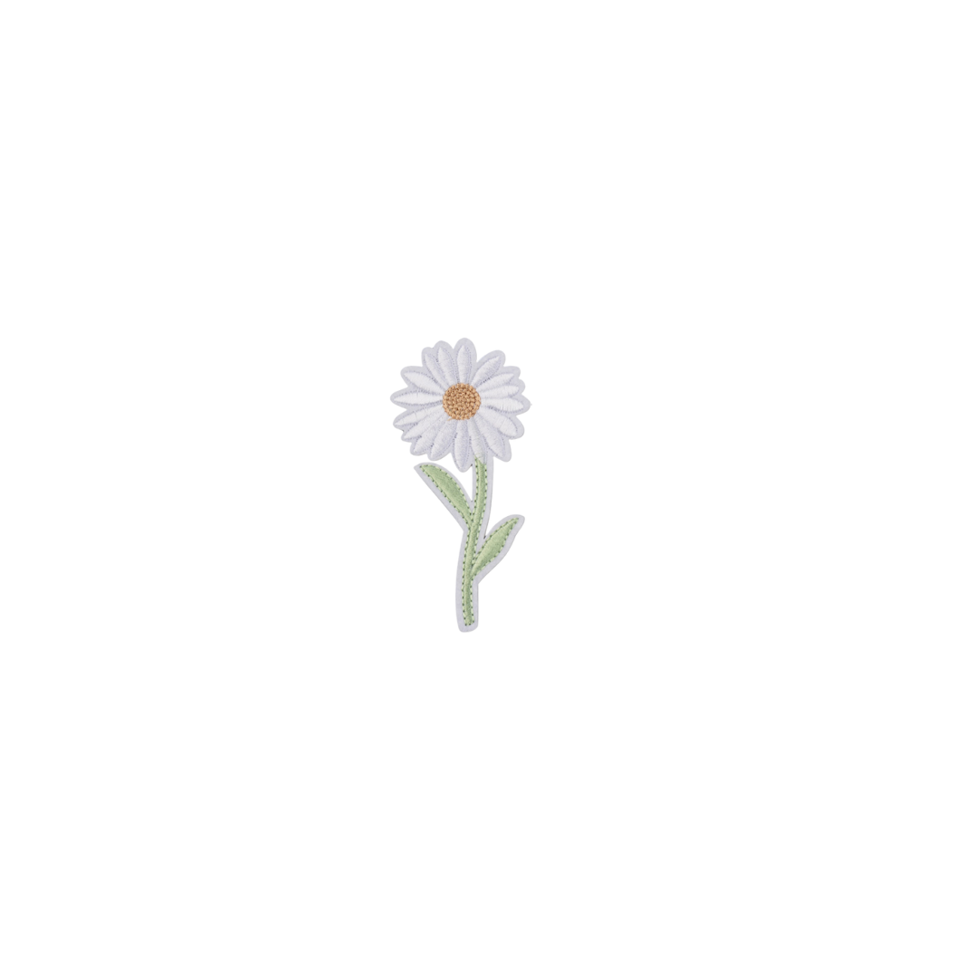 White daisy flower with a green stem on a white background