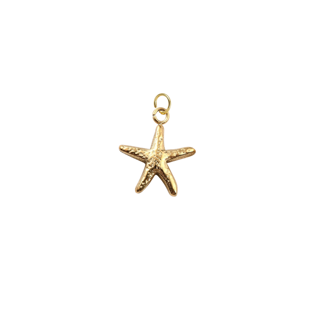 Gold Hammered Starfish Shell Charm