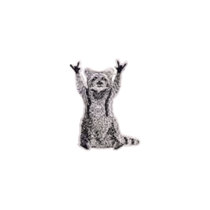 Ole Merle Raccoon Patch