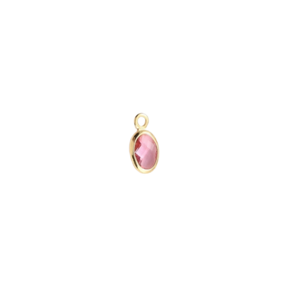 Gold Oval Framed Glass Charms | Assorted