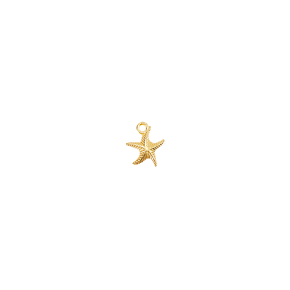 Transparent view of the Gold Beach Shells Charm | Assorted