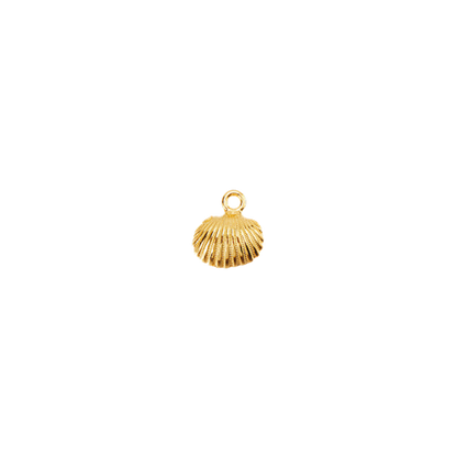 Transparent view of the Gold Beach Shells Charm | Assorted