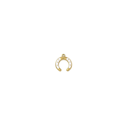 Gold Colorful Horseshoe Charm