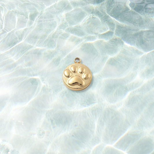 Gold Forever Paw Print Charm on water background