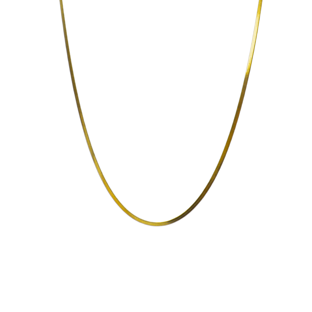 Transparent view of the Gold Tate Chain