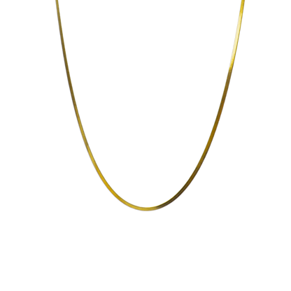 Transparent view of the Gold Tate Chain