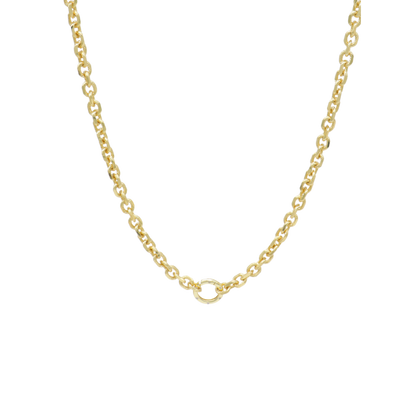 Transparent view of the Gold Jamesyn Necklace with Lily Carabiner