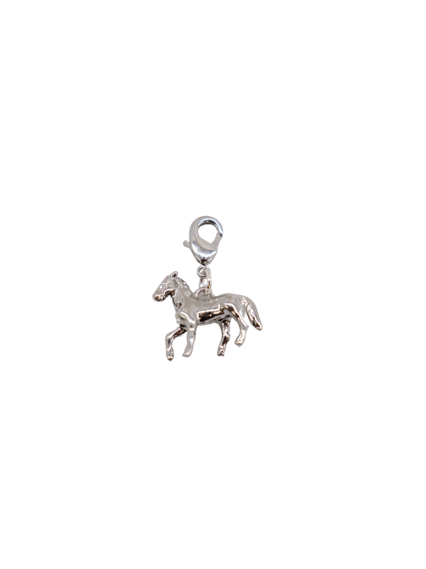 Silver Interchangeable Charm Clasp